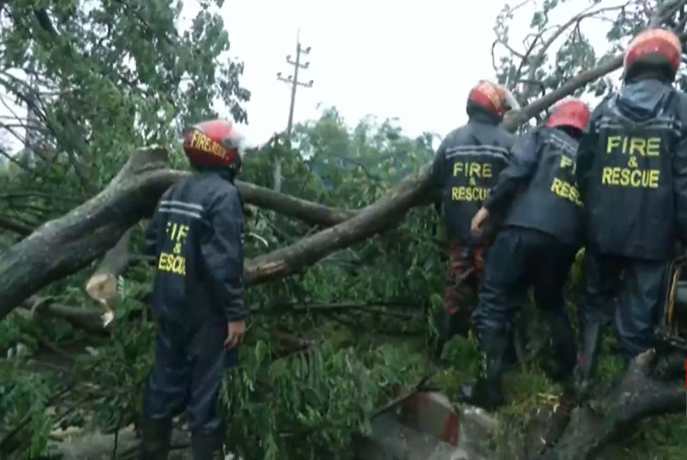 ঝড়ে গাছ পড়ে ঢাকা-চট্টগ্রাম মহাসড়কের চট্টগ্রামমুখী লেনে যান চলাচল বন্ধ

