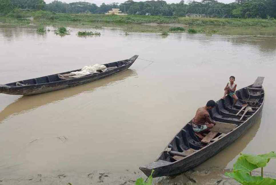 হালদায় নমুনা ডিম ছাড়ছে মা মাছ