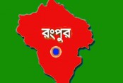 রংপুর অঞ্চলে সুগন্ধি ধান চাষে নিরব বিপ্লব