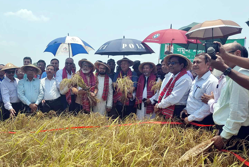 কৃষকরা অধিক মূল্য না পেলে উৎসাহ হারিয়ে ফেলবে : কৃষিমন্ত্রী