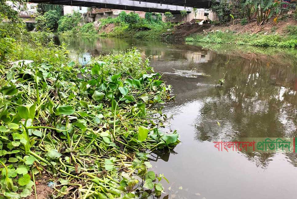 কুমিল্লা শহরের ময়লায় দূষিত ডাকাতিয়া নদীর পানি