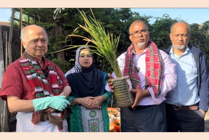 ব্রিটেনে প্রথমবারের মতো বাংলাদেশের ধান ফলন করলেন সিলেটের আজম খান