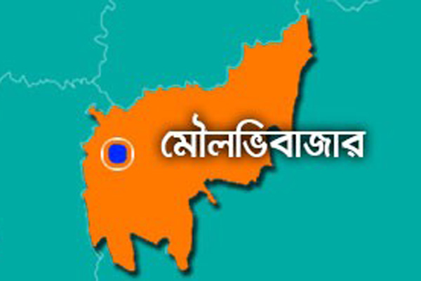 টাকা বিতরণ করতে গিয়ে গণপিটুনি খেলেন সাবেক চেয়ারম্যান