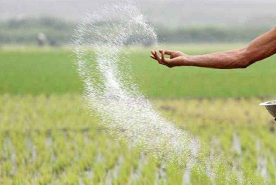 মরক্কো থেকে ৪০ হাজার টন ডিএপি সার কিনবে সরকার