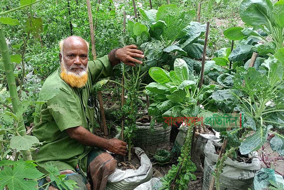 পরিত্যক্ত জমিতে বস্তায় পাতাকপির চাষে চমক  