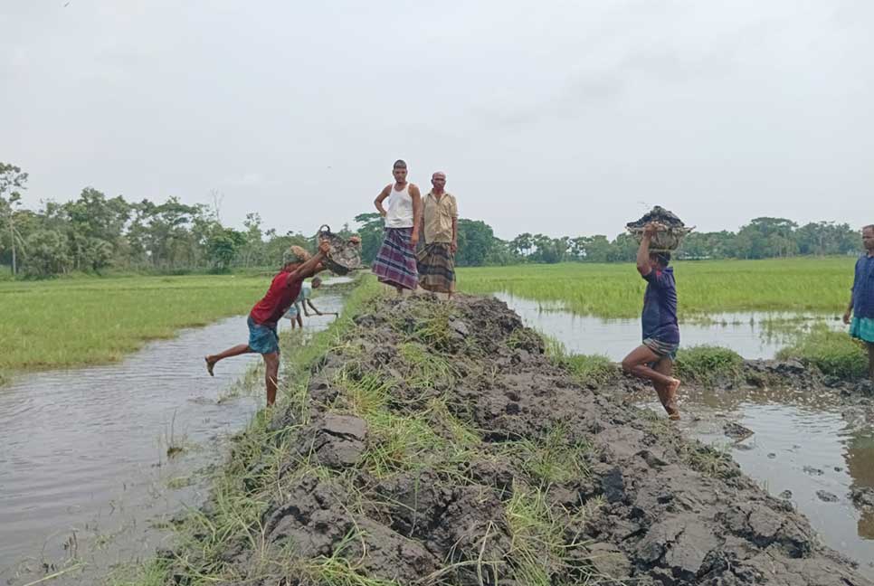 দেড় কিলোমিটার সড়ক তৈরি করছেন ১০ গ্রামের মানুষ