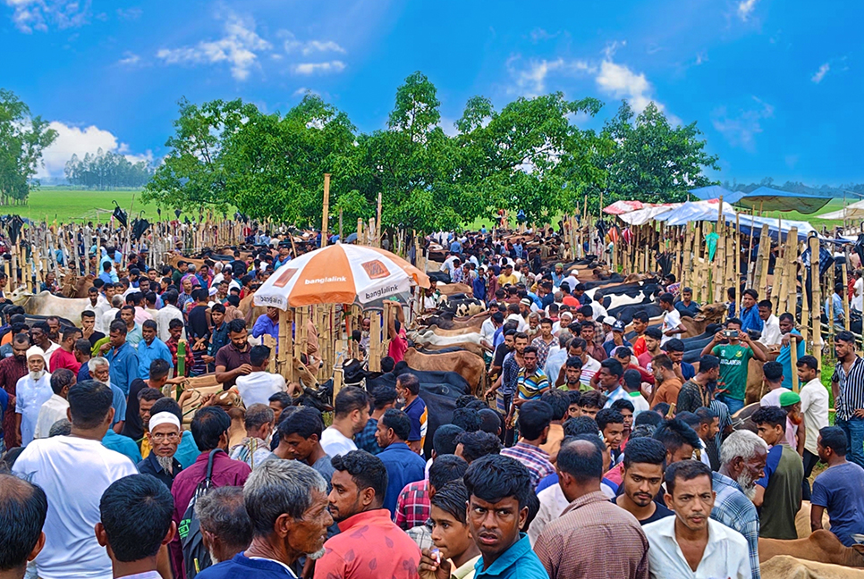 হবিগঞ্জে জমে উঠেছে কোরবানির পশুরহাট