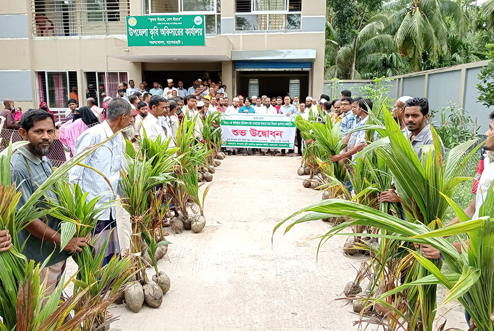 বাগেরহাটে নারিকেল গাছের চারা বিতরণ