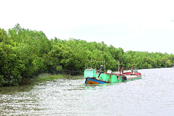 গ্রিন বেল্টে পাখির কলরব খালে দাপাচ্ছে ডলফিন