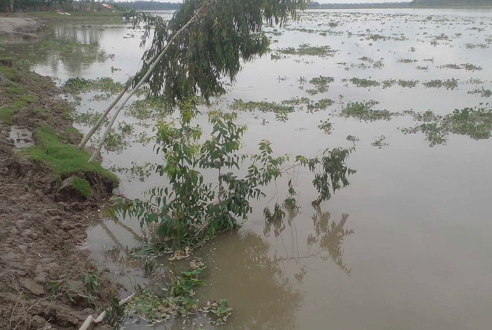 কুড়িগ্রামে বাড়ছে নদ-নদীর পানি, বন্যার শঙ্কা