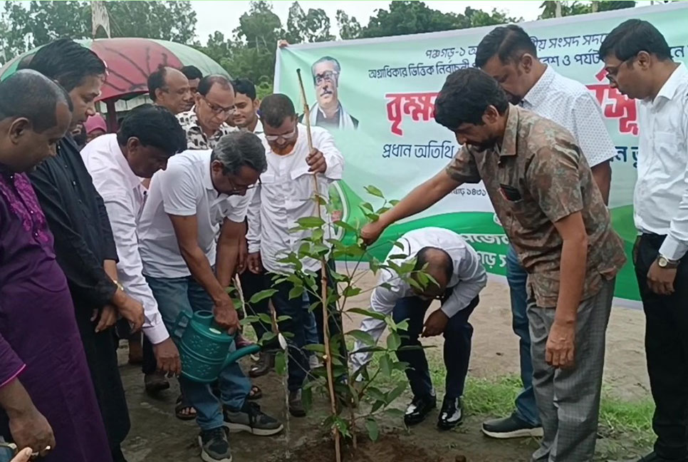 পঞ্চগড়ে পশু-পাখিদের জন্যও লাগানো হচ্ছে গাছ