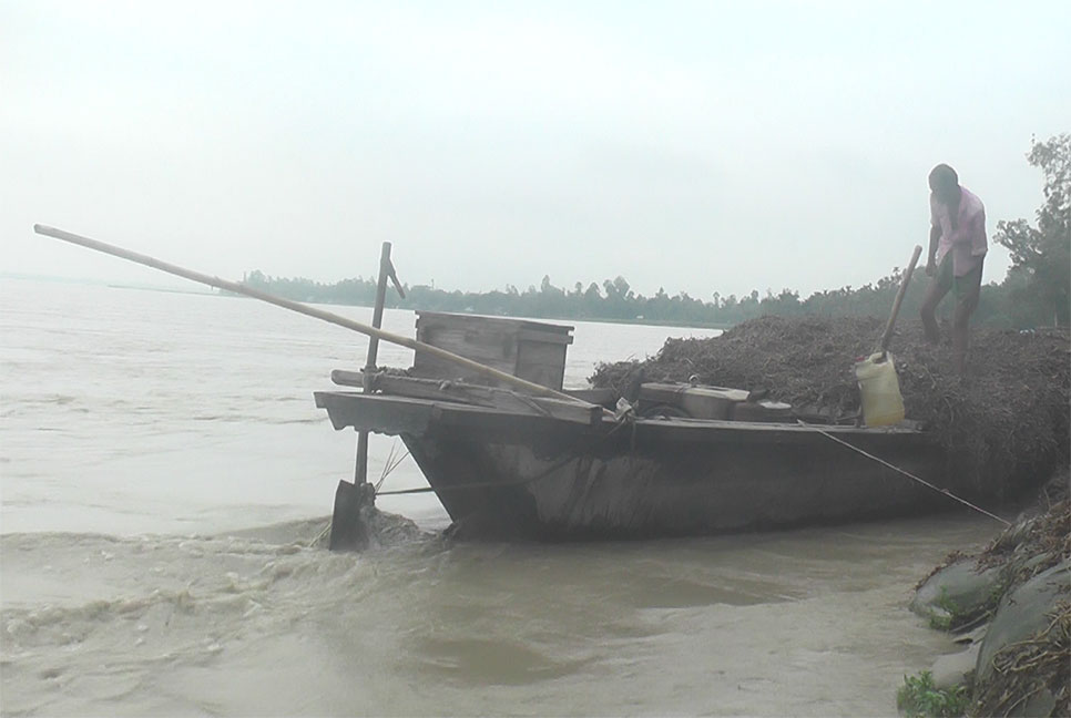 কুড়িগ্রামে নদ-নদীর পানি বৃদ্ধি