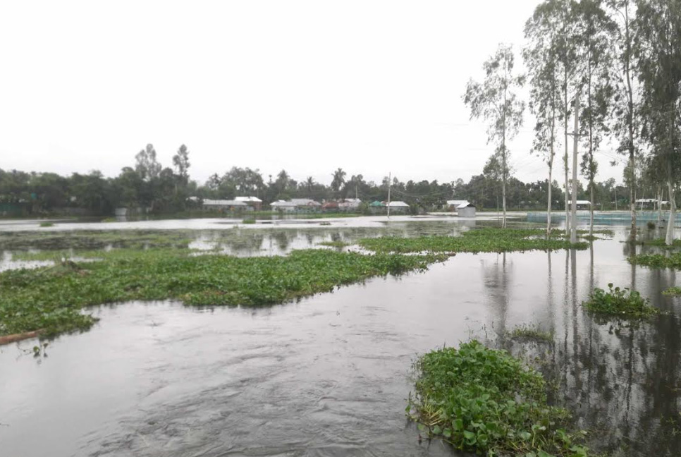 কাউনিয়ায় তিস্তার পানি এখনও বিপৎসীমার ২৫ সেন্টিমিটার উপরে 