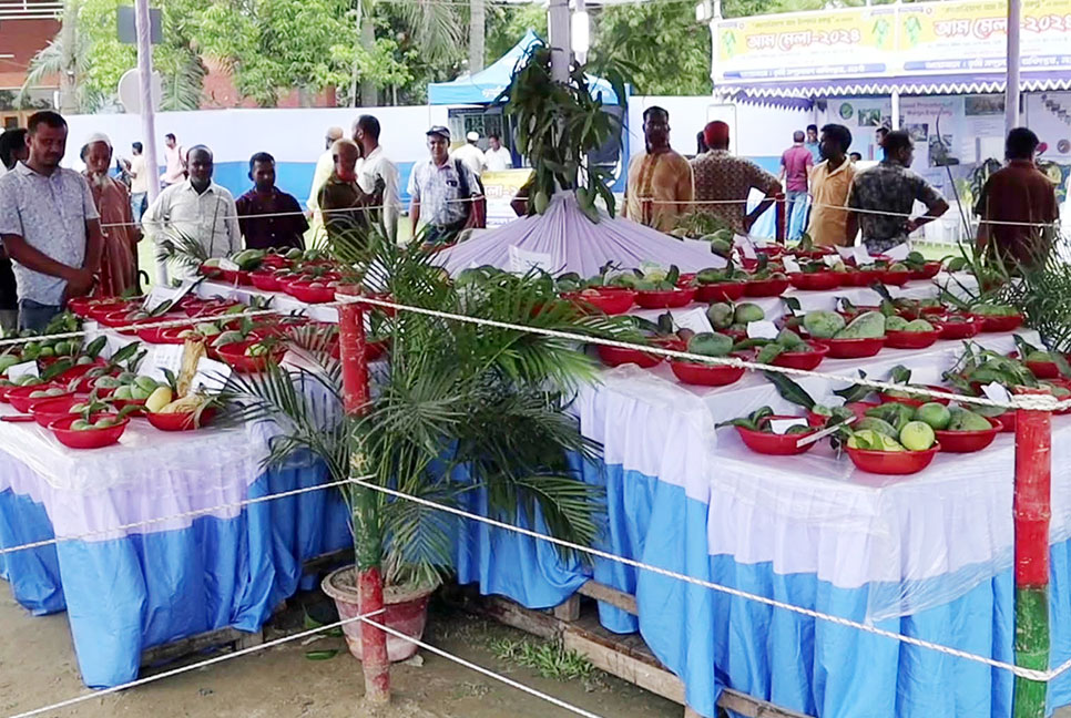 নওগাঁয় মেলায় ১৪০ জাতের আম