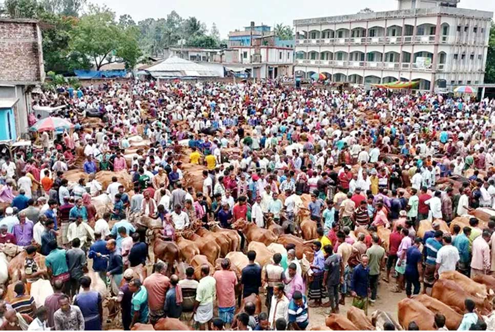 স্কুল মাঠে হাট, পাঠদান ব্যাহত