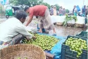 ক্রেতার অপেক্ষায় নিমসার বাজারে ৫০০ আড়তদার