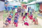 পঞ্চগড়ে বৃক্ষরোপণ ও গাছের চারা বিতরণ 