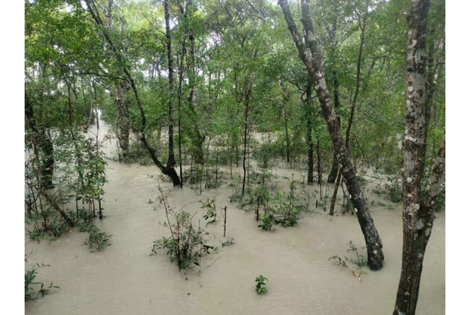 বাগেরহাটে নদ-নদীর পানি বিপৎসীমার উপরে