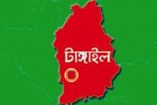 চাচা-ভাতিজাকে কুপিয়ে হত্যা, গণপিটুনিতে ঘাতকের মৃত্যু