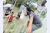 আমের মক্কী একাই এক শ 