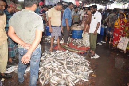 বরিশালের মোকামে ইলিশ উঠলেও কমছে না দাম