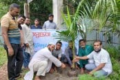 উলিপুরে নারিকেল ও বকুল গাছের চারা রোপণ বসুন্ধরা শুভসংঘের