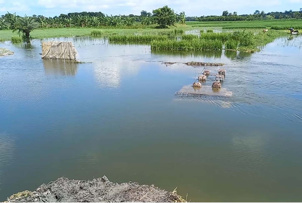 ফসল বাঁচাতে স্লুইসগেট ভেঙে দিলেন কৃষকরা