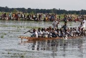 বালিয়াকান্দিতে নৌকা বাইচ অনুষ্ঠিত