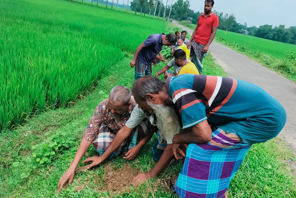 নালিতাবাড়ীতে বজ্রপাত ঠেকাতে তালের বীজ রোপণ