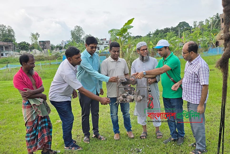 ১৭ ঘুঘু অবমুক্ত, মুচলেকায় ছাড়া পেল শিকারি