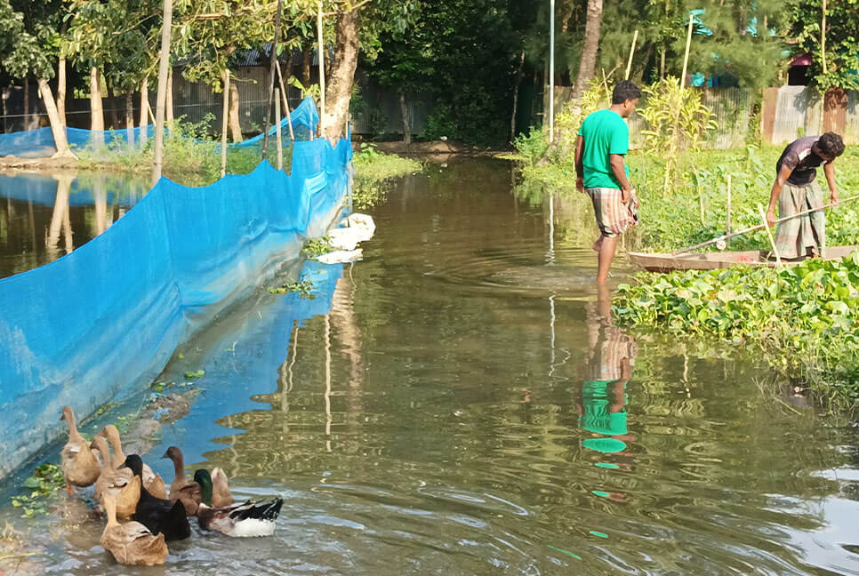 কুমিল্লার দক্ষিণে দীর্ঘস্থায়ী বন্যা, বাড়ছে পানি