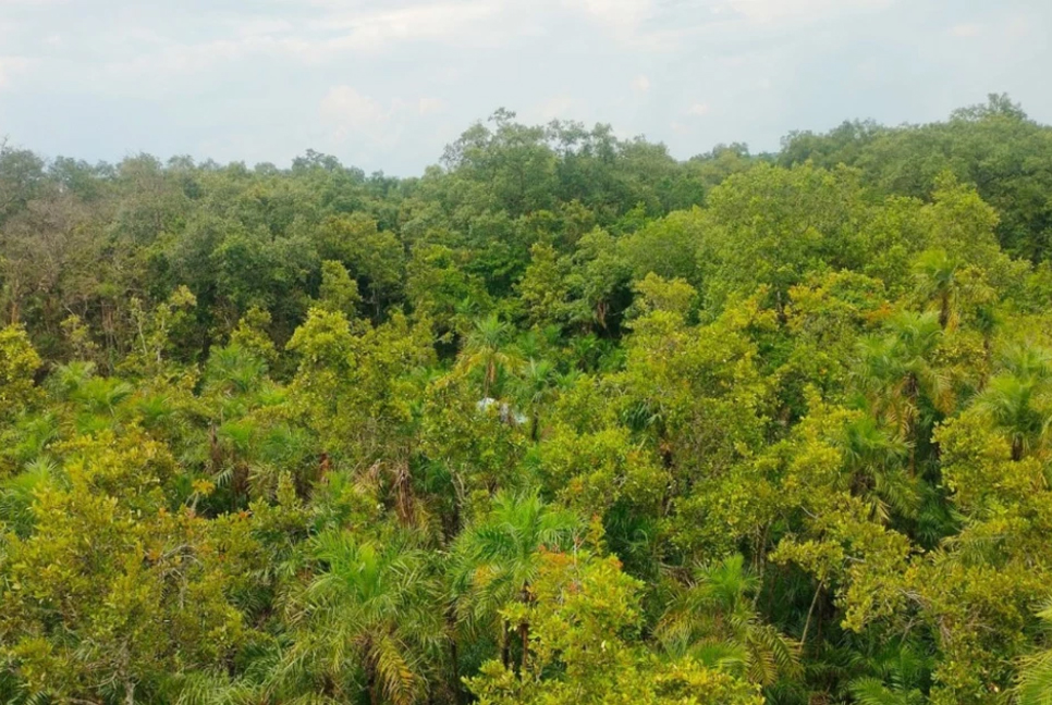 Sundarbans to have 4 more eco-tourism centres