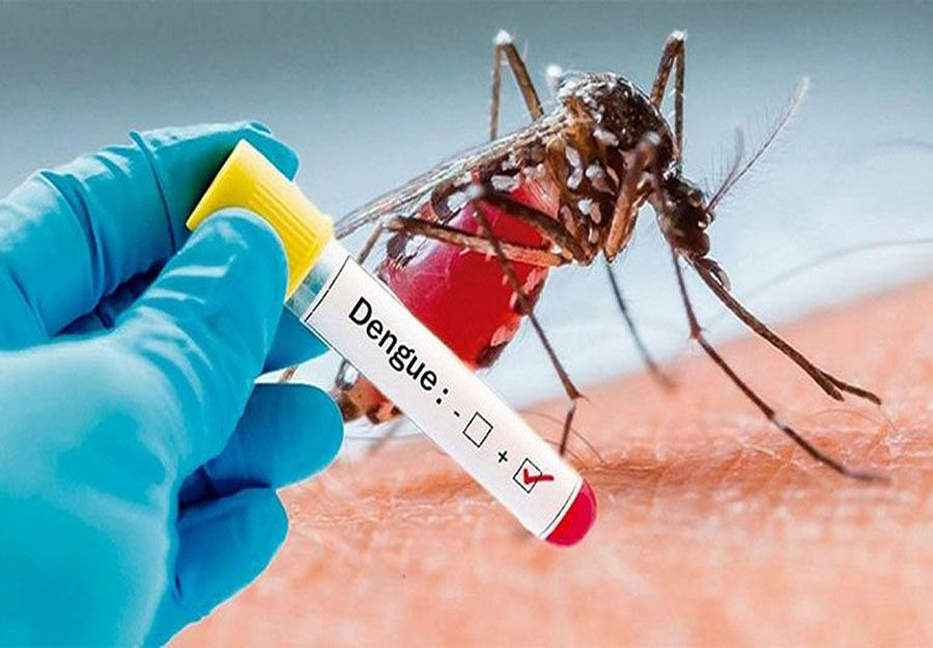 Dengue: Six more died, 918 hospitalized in 24 hrs 