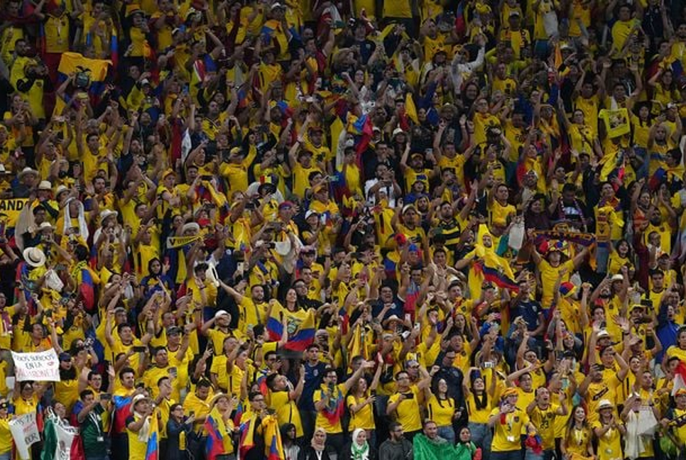 FIFA launches case over Ecuador fans' World Cup chants