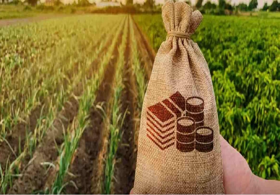 Subsidy in agriculture and fuel sector increases 3 times