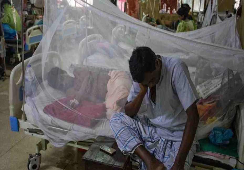 Two more dengue patients die in 24 hrs 