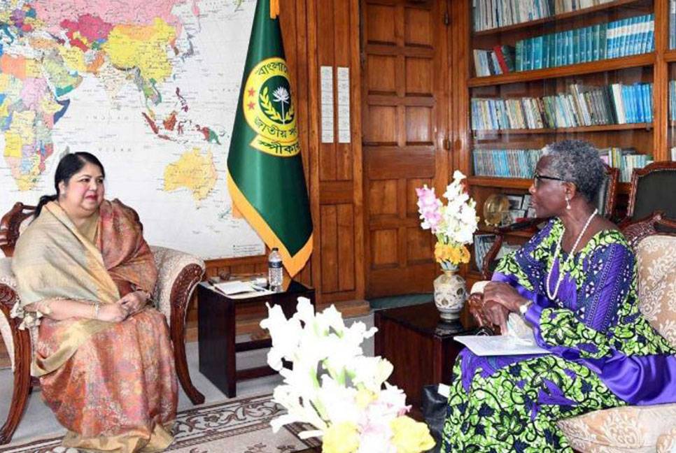 IMF DMD meets Speaker