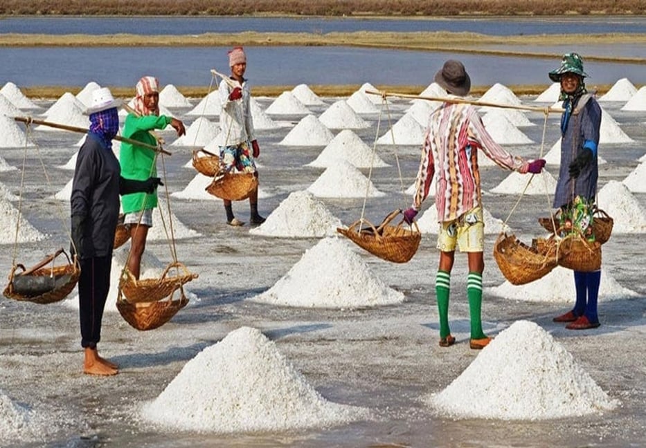 Salt production breaks 62-year record