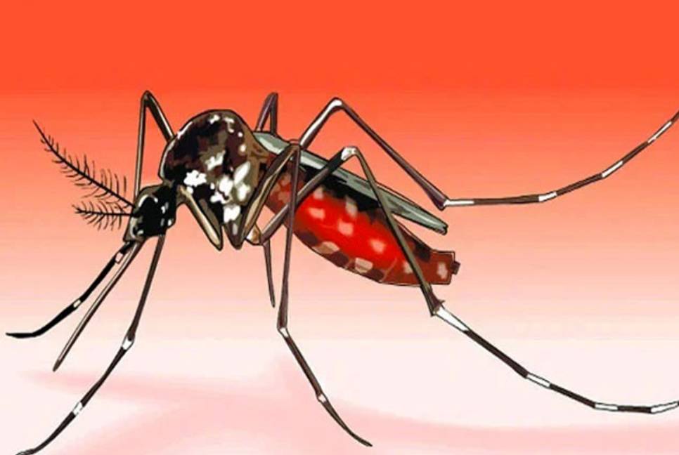 34 more Dengue patients hospitalized