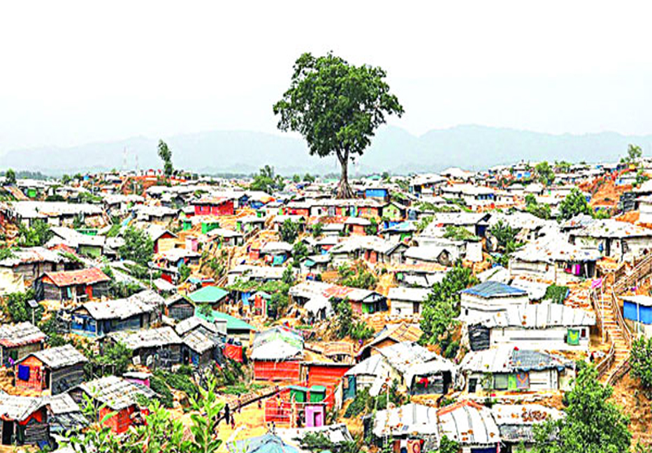Rohingyas seek utilizing repatriation opportunity 