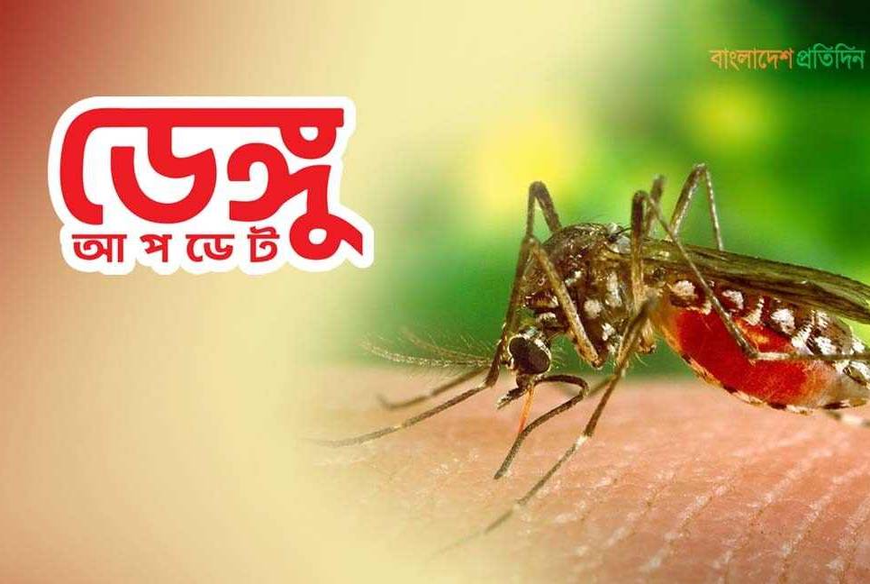 Bangladesh logs eight more dengue deaths in 24 hrs