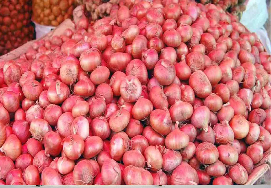 Govt approves onions import from 9 countries