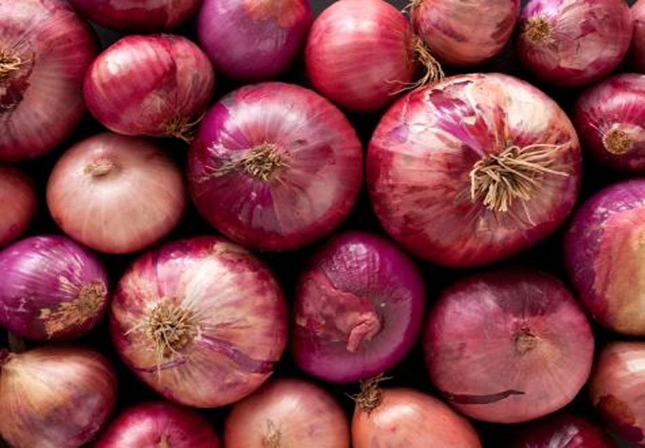 Govt to provide Tk 16.20 crore incentive to boost onion production