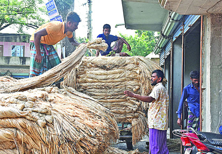Jute cultivation in threat as export, price decrease