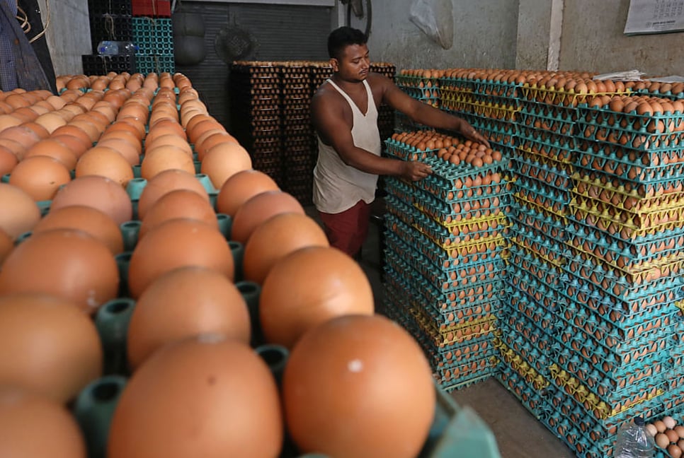 Domestic egg price nearly double international price