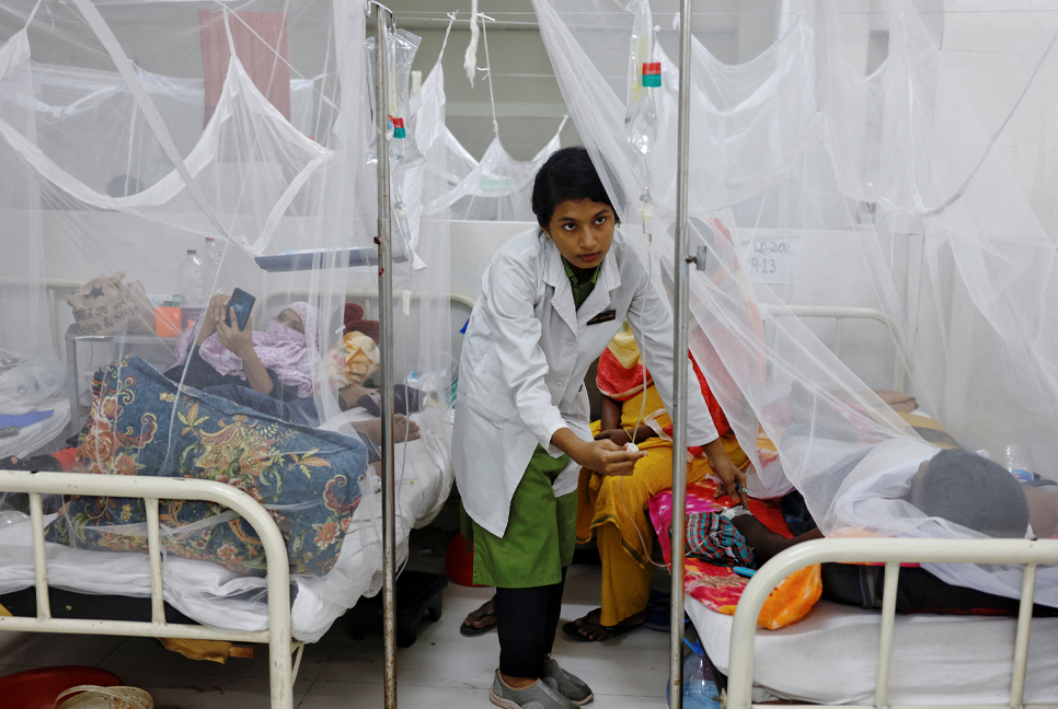 Why more deaths in dengue this year