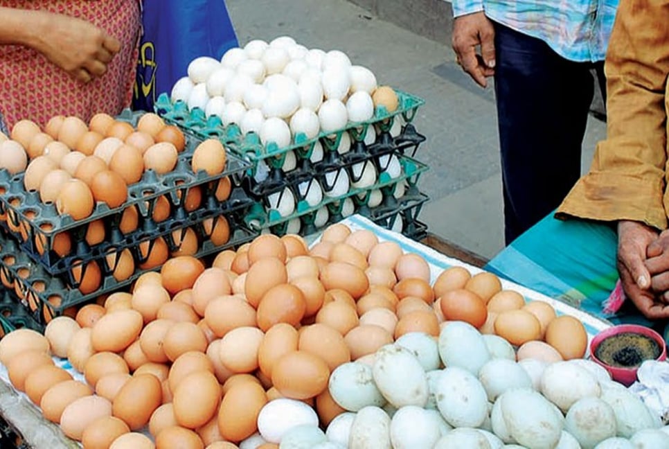 Egg market instability continues, price increased