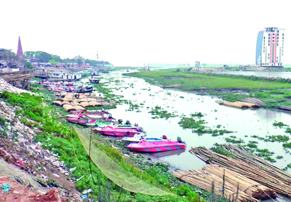 Titas dying due to pollution, illegal encroachment  