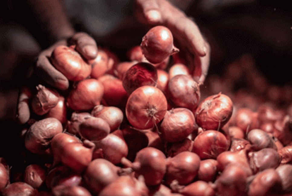 India removes ban on Onions import 