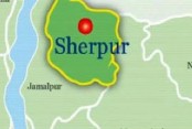 23-year-old electrocuted in elephant trap in Sherpur